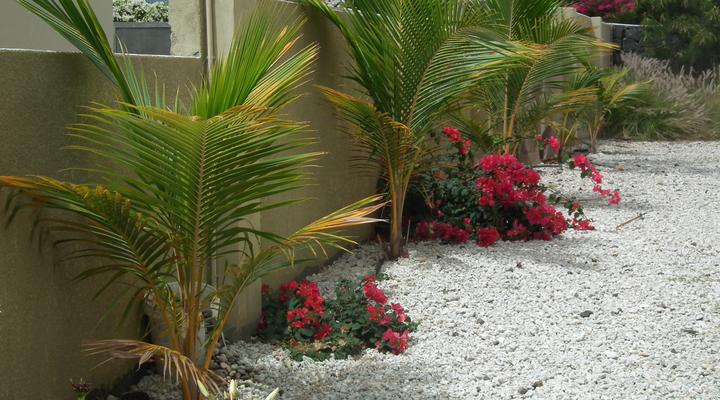 Luxury Villa Tamarin