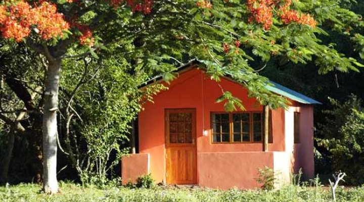 Bushbaby Lodge and Camping