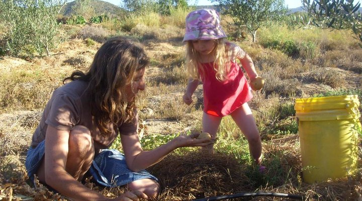 Numbi Valley De Rust Farmstay