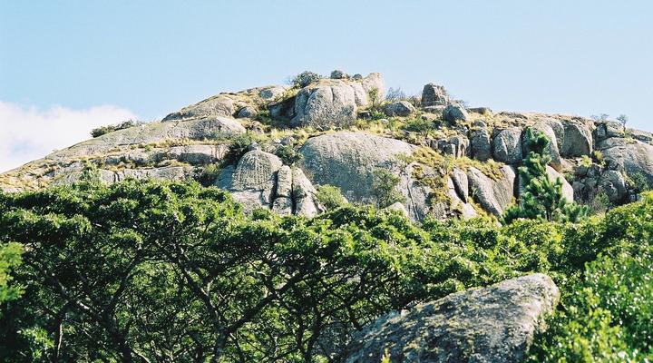 Cedar Peak Cottage, Nyanga