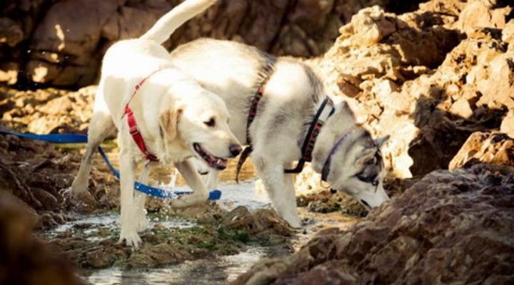 Barking Beach Cottage