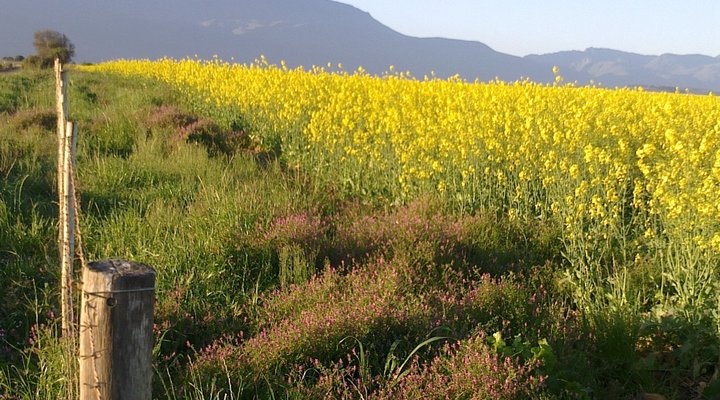 Deo Volente Guest Farm