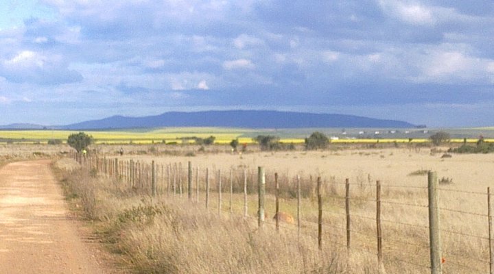 Deo Volente Guest Farm