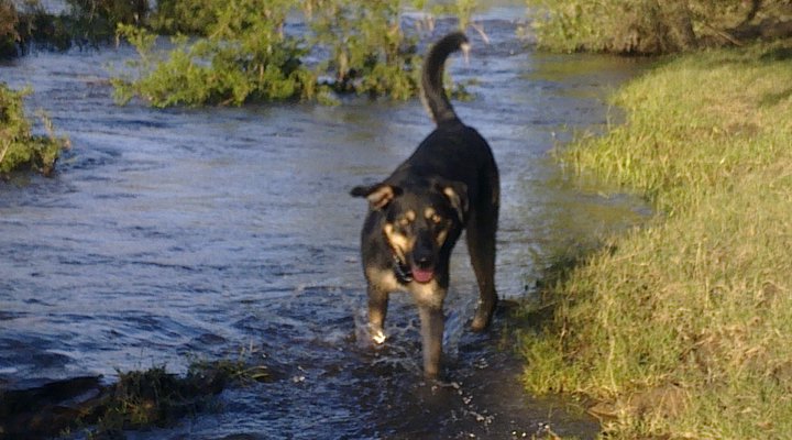 Deo Volente Guest Farm