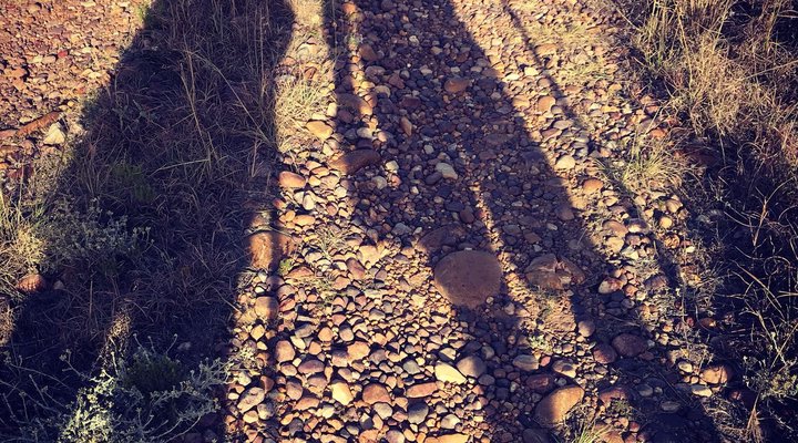 Deo Volente Guest Farm