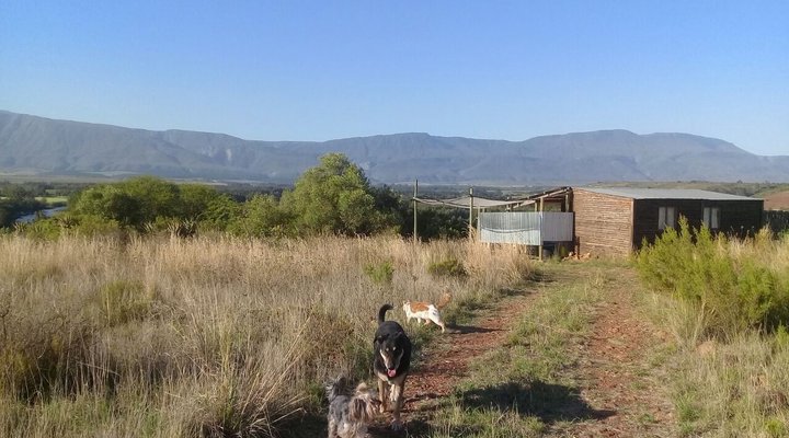 Deo Volente Guest Farm