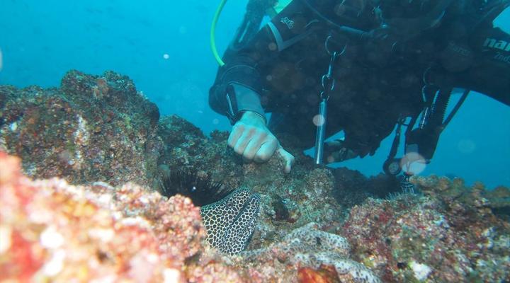 Coconut Bay Beach House