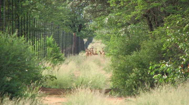 Kromme Ellenboog Bush Camp
