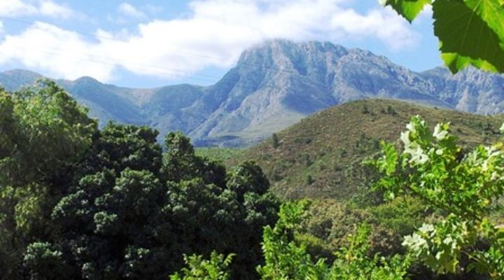 Almondbury Guest Farm