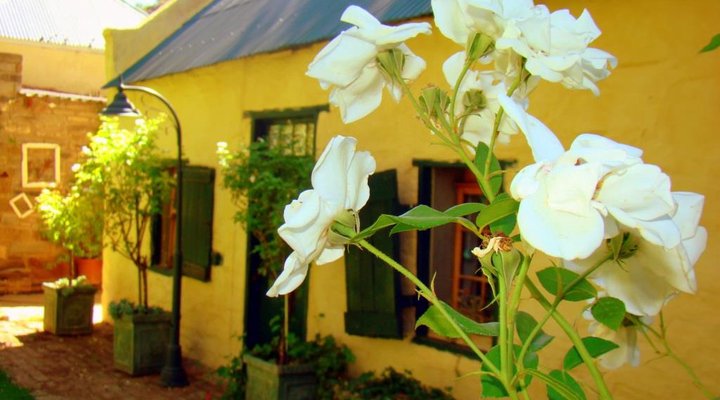 Schoemans Cottage (Schoemans Huisie)