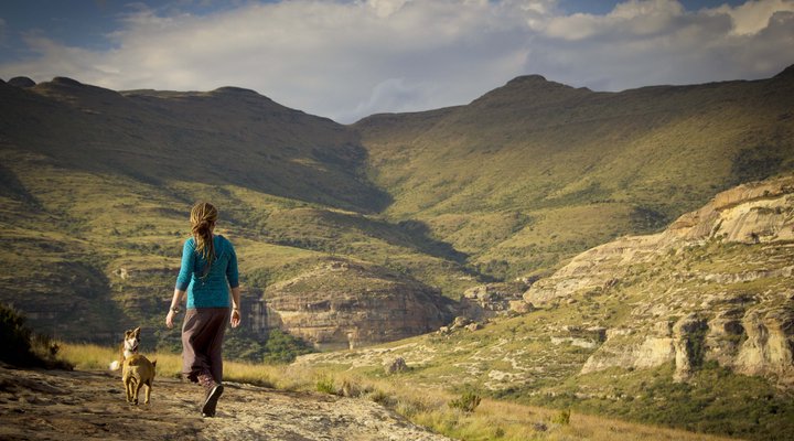 Franshoek Farm and Polo School