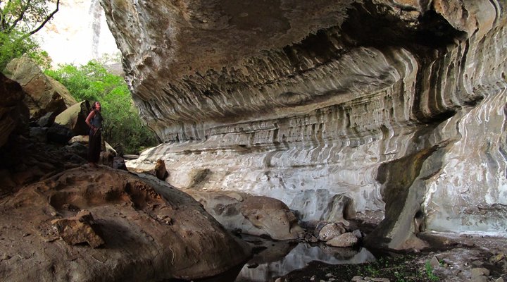 Franshoek Farm and Polo School