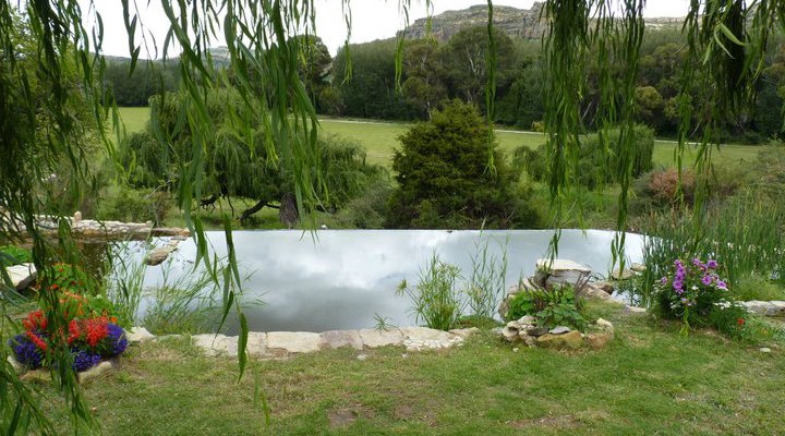 Franshoek Farm and Polo School