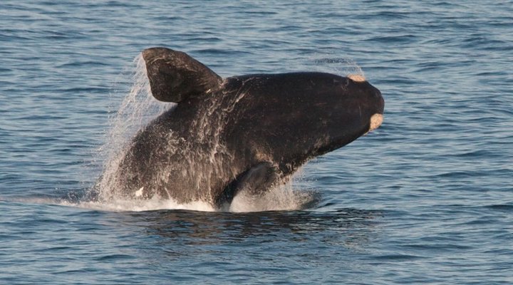 Beaumonte Guest House