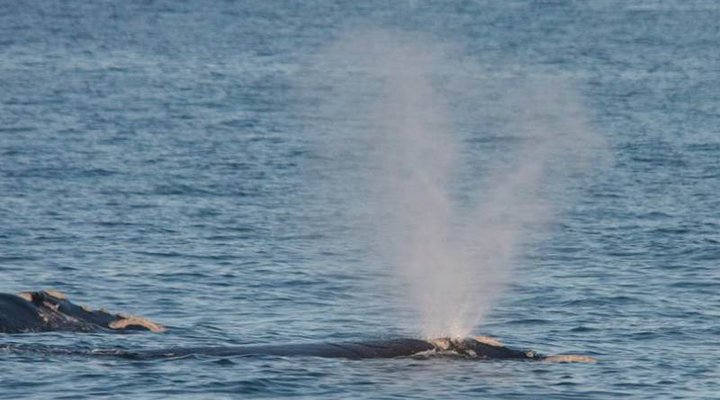 Beaumonte Guest House