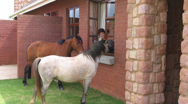 Kloppenheim Country Estate - Lodge 206