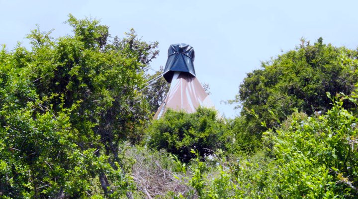 TiPi Bush Camp