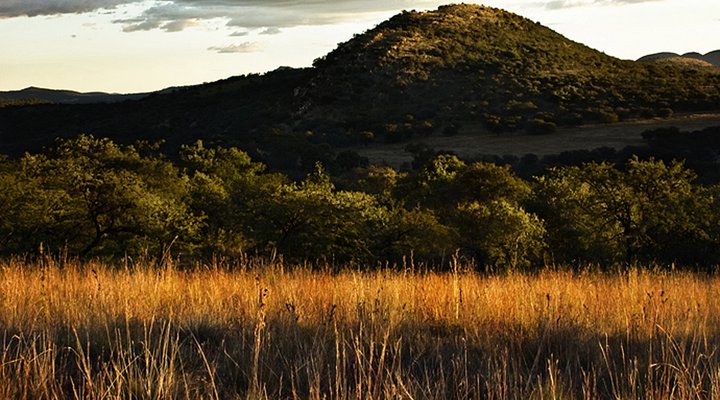 Thwane Bush Camp