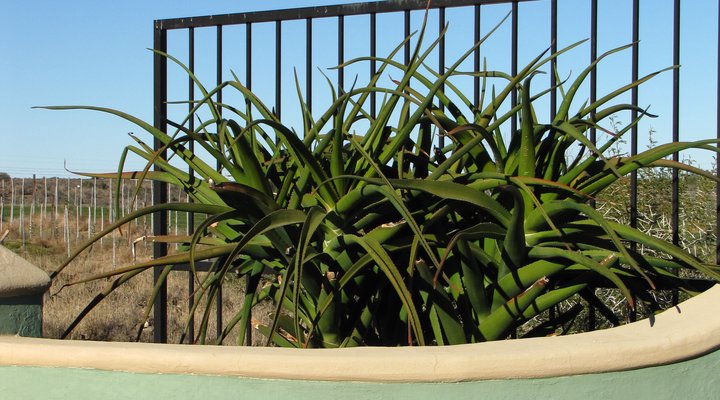 Meyerspoort Karoo Farm