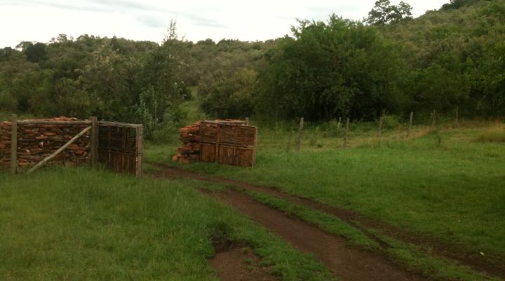 Mara Nubian Tented Camp