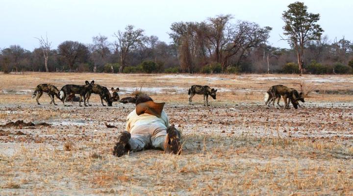 Tailormade Safaris- Mana Pools