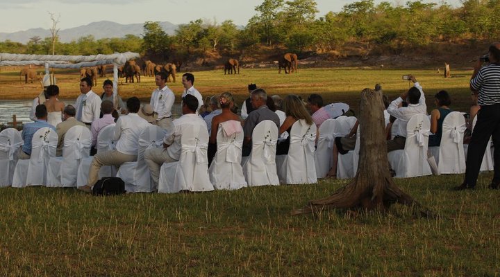 Tailormade Safaris- Hwange
