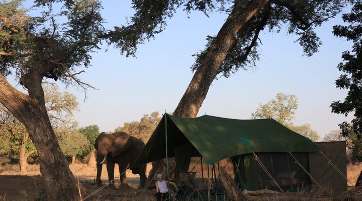 Tailormade Safaris- Hwange