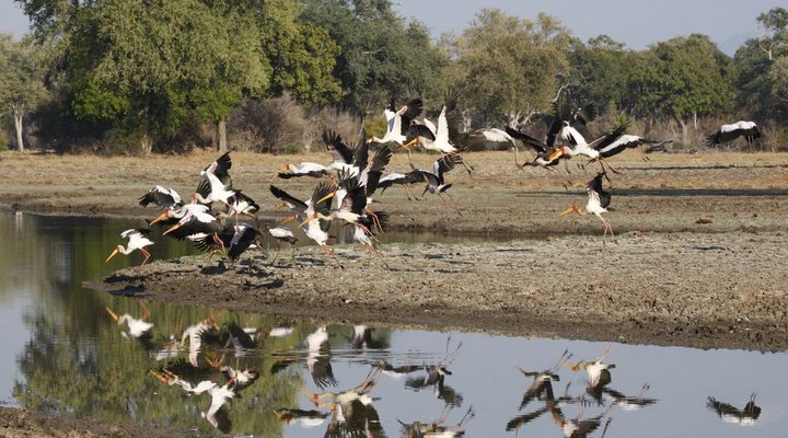 Tailormade Safaris- Matopos