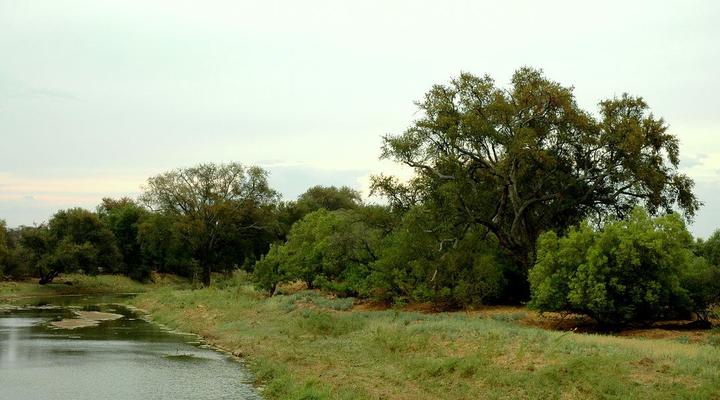 Tweerivier Game Lodge