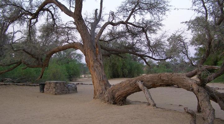 Brandberg White Lady Lodge