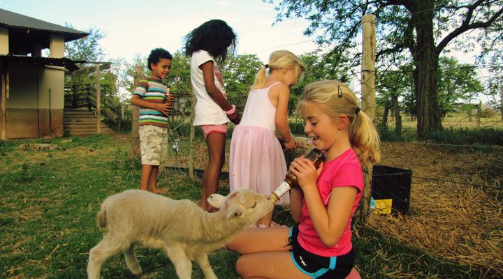 Fairview Farm House & outside Cottage
