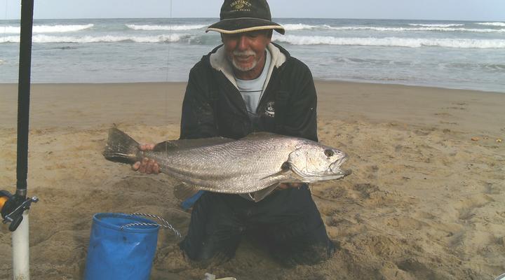 Sandown Self-catering