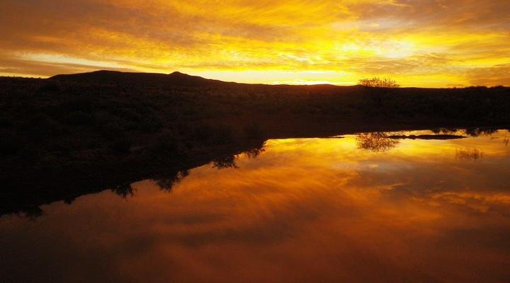 Assendelft Lodge and Bush Camp