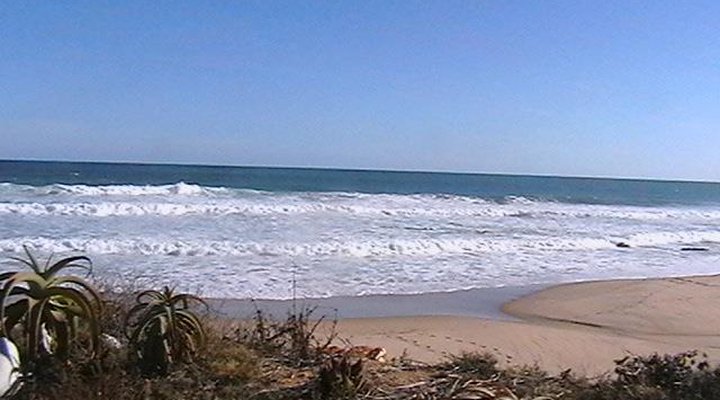 Dassie Singel Self-catering Chalets
