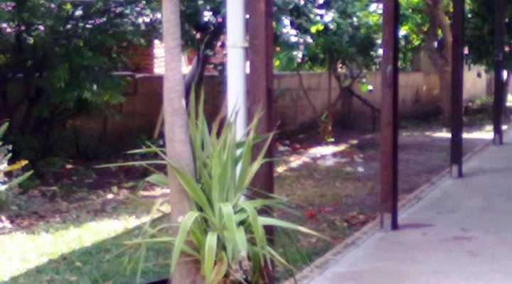 Casa Consani Terra Del Vino