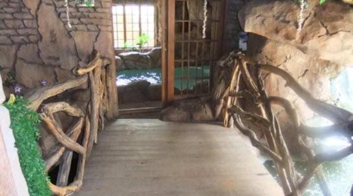 Pride Rock Accommodation