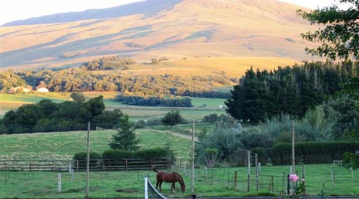 Glenfinlas Guest Cottage