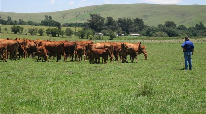 Glenfinlas Guest Cottage