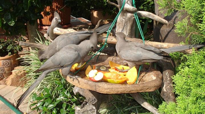 Maribelle's Bed & Breakfast