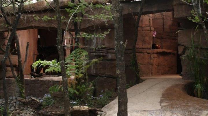 Duma Manzi Eco Lodge and Spa