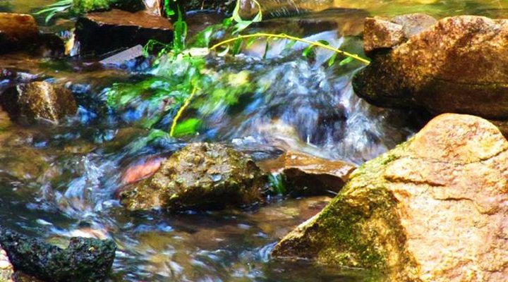 Craighall House