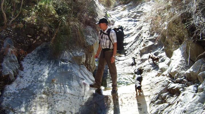 Buffelshoek Farm Cottage