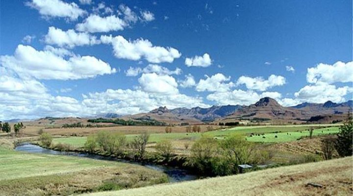 Valemount Country Lodge