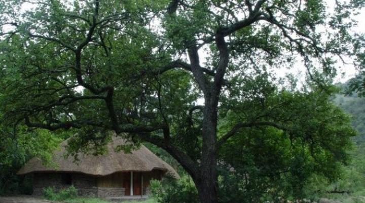 Highover Wildlife Sanctuary