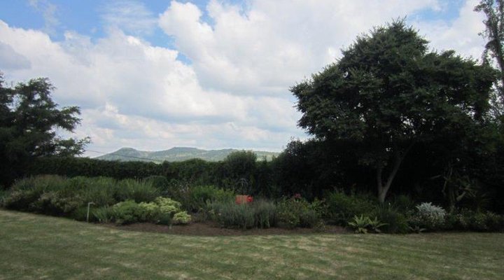 Monte Vista Guest House