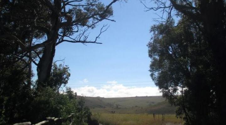 O'Grady's Accommodation