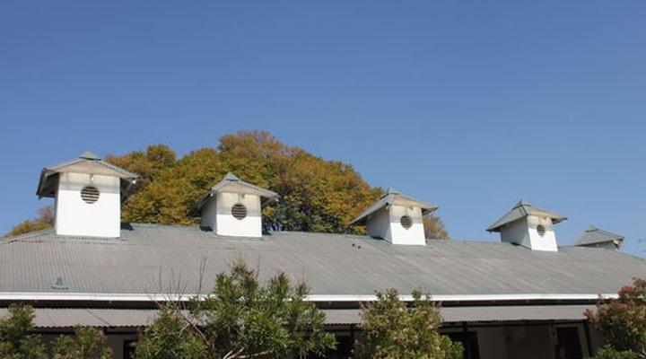 Cullinan Diamond Lodge