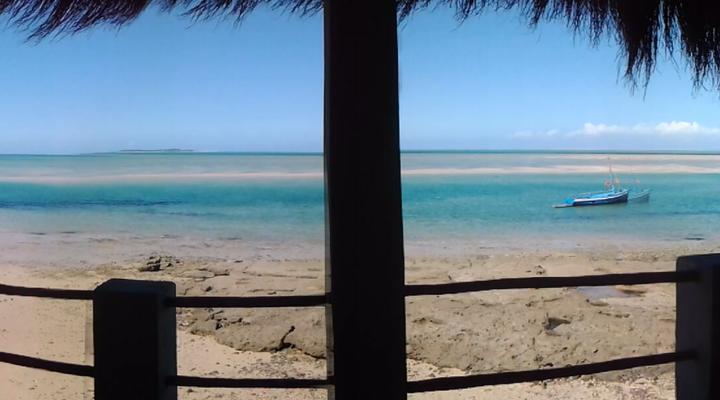 Dolphin Dhow Accommodation