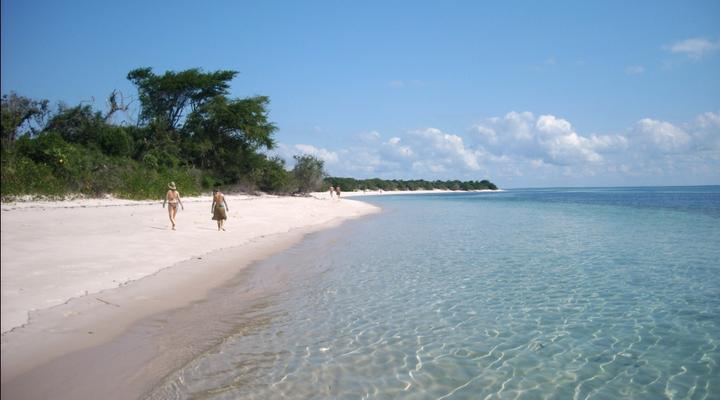 Dolphin Dhow Accommodation