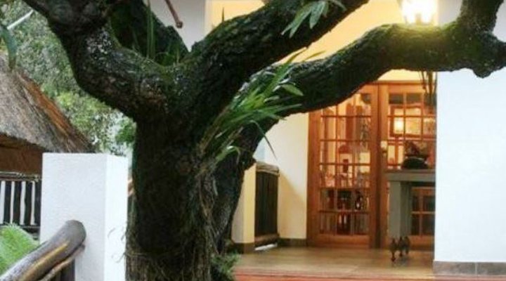 Pensão Guest House